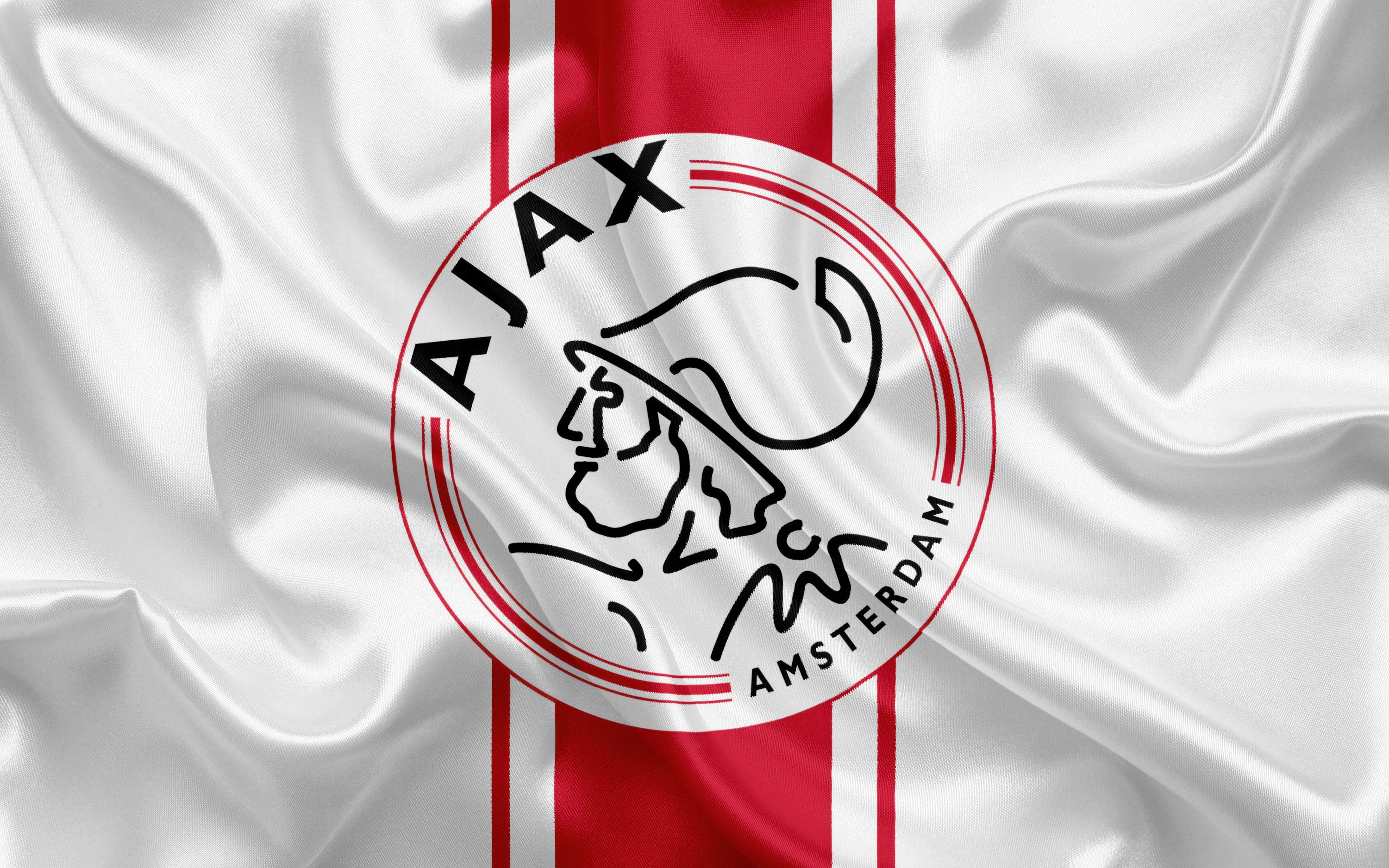 Ajax 005 - cuadro decorativo en canvas