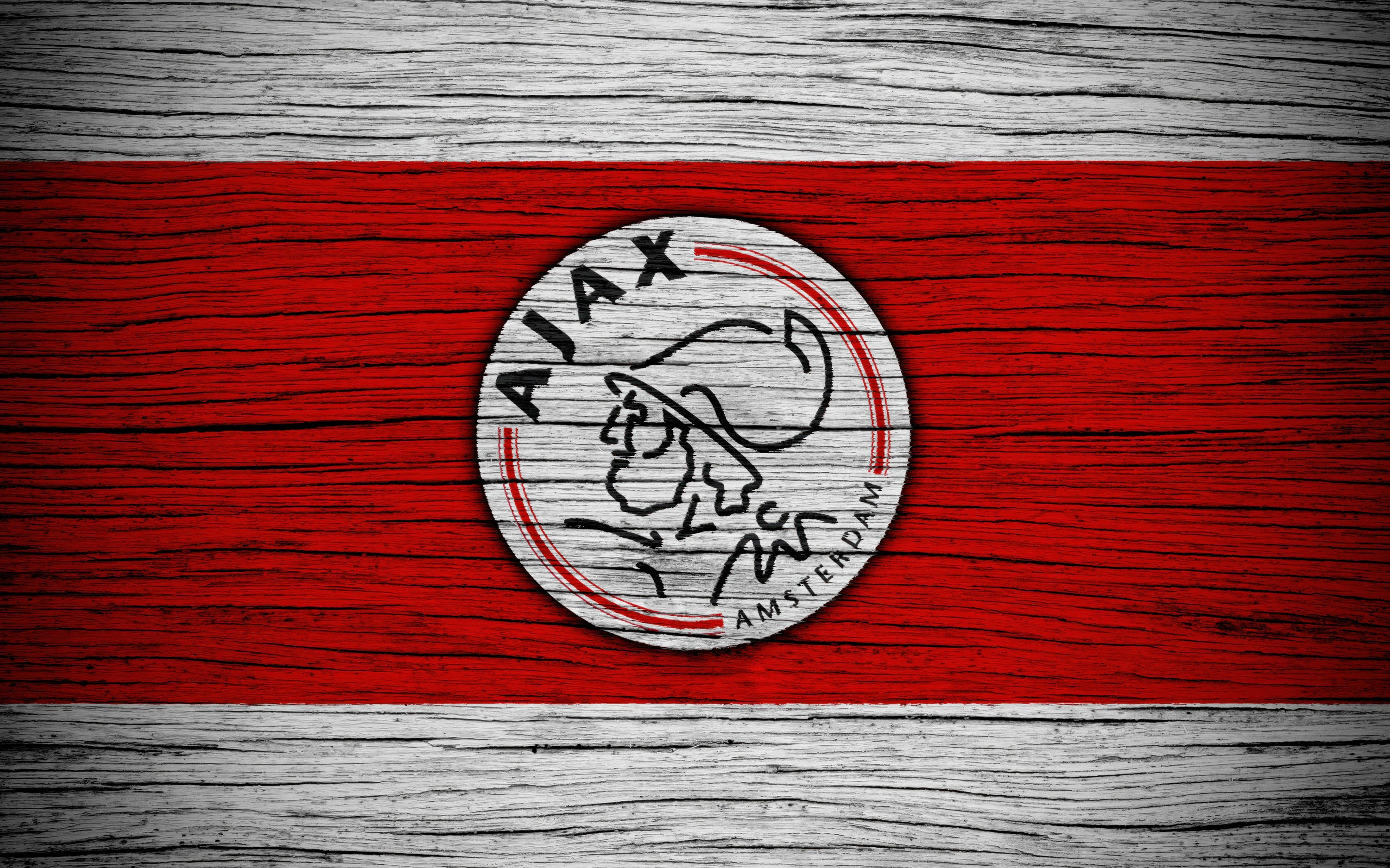 Ajax 008 - cuadro decorativo en canvas