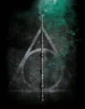 Harry Potter 016 - cuadro decorativo en canvas