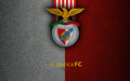 Benfica 008 - cuadro decorativo en canvas