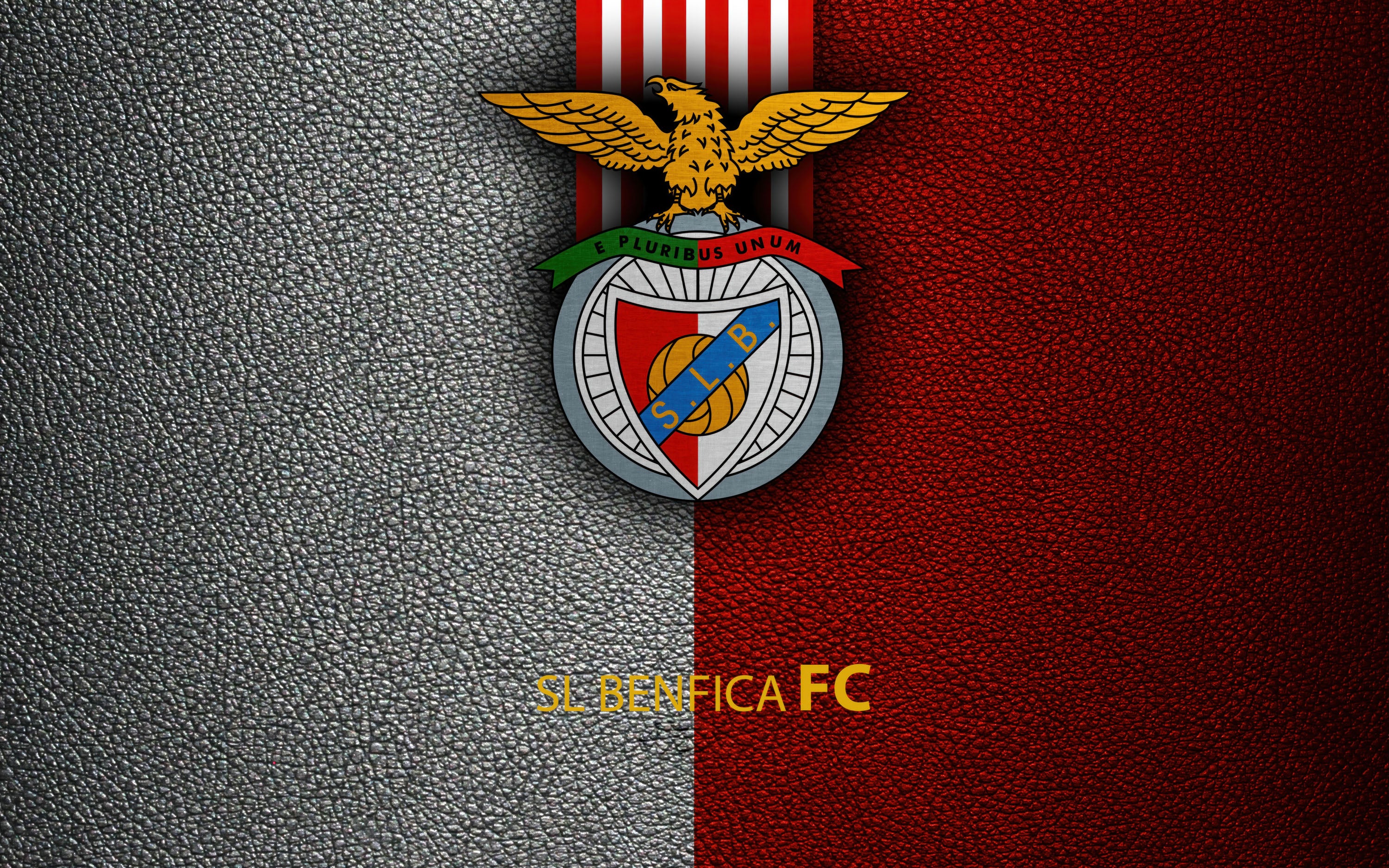Benfica 008 - cuadro decorativo en canvas