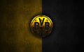 Borussia Dortmund 009 - cuadro decorativo en canvas