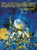 Iron Maiden 004 - cuadro decorativo en canvas