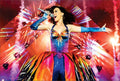 Katy Perry 003 - cuadro decorativo en canvas