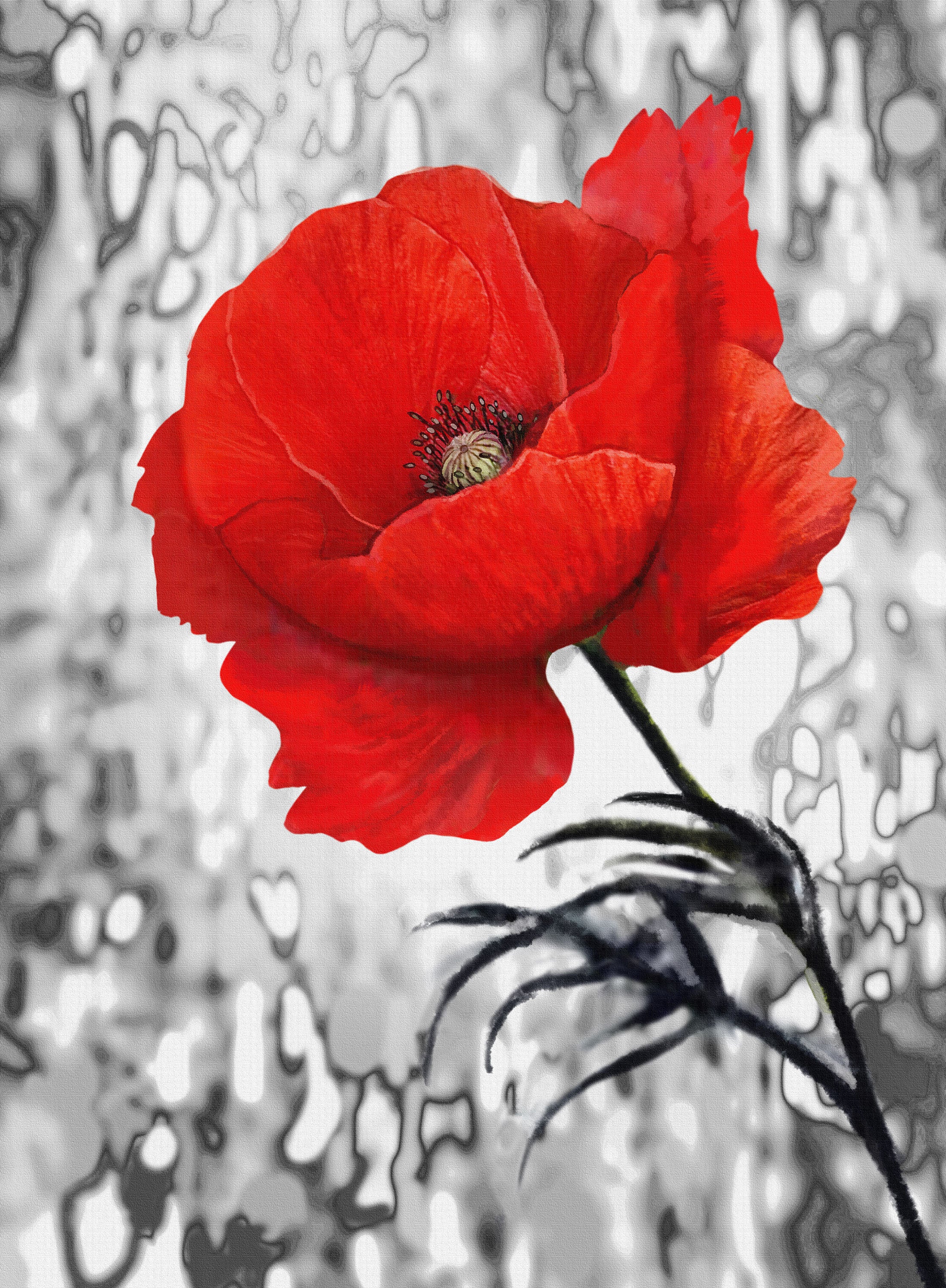 Blanco y Rojo 012 - cuadro decorativo en canvas