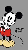 Disney 019