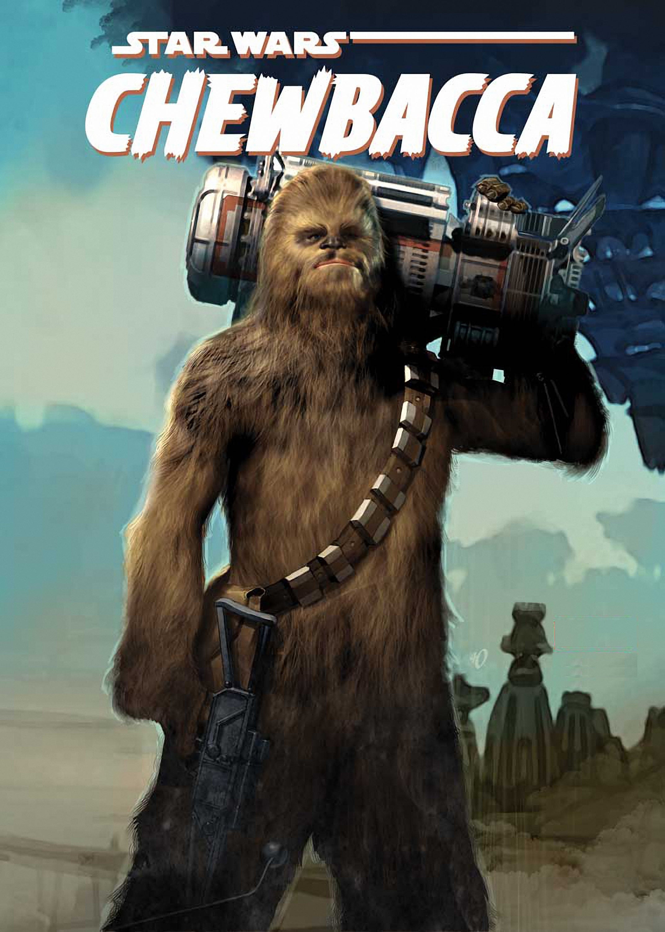 Star Wars 064 - cuadro decorativo en canvas