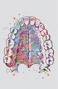 Odontología 021 - Cuadro canvas Canvaradas