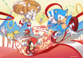 Sonic 007 - cuadro gamer decorativo en canvas