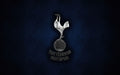 Tottenham 007 - cuadro decorativo en canvas