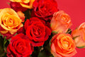 Flores 184 - Cuadro canvas Canvaradas
