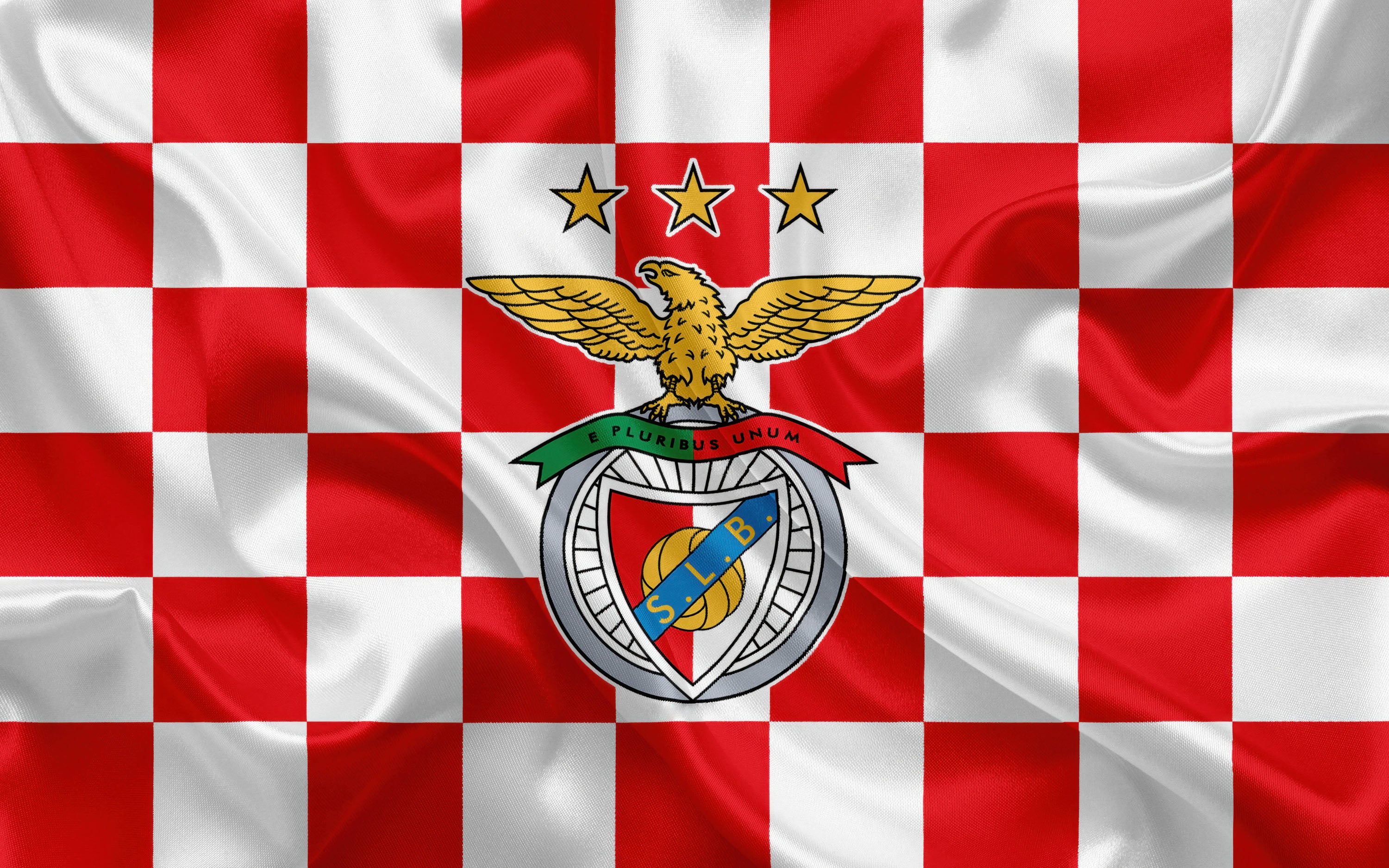 Benfica 006 - cuadro decorativo en canvas