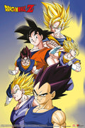 Dragon Ball 007