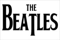 The Beatles 039 - cuadro decorativo en canvas