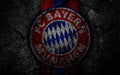 Bayern Múnich 005 - cuadro decorativo en canvas