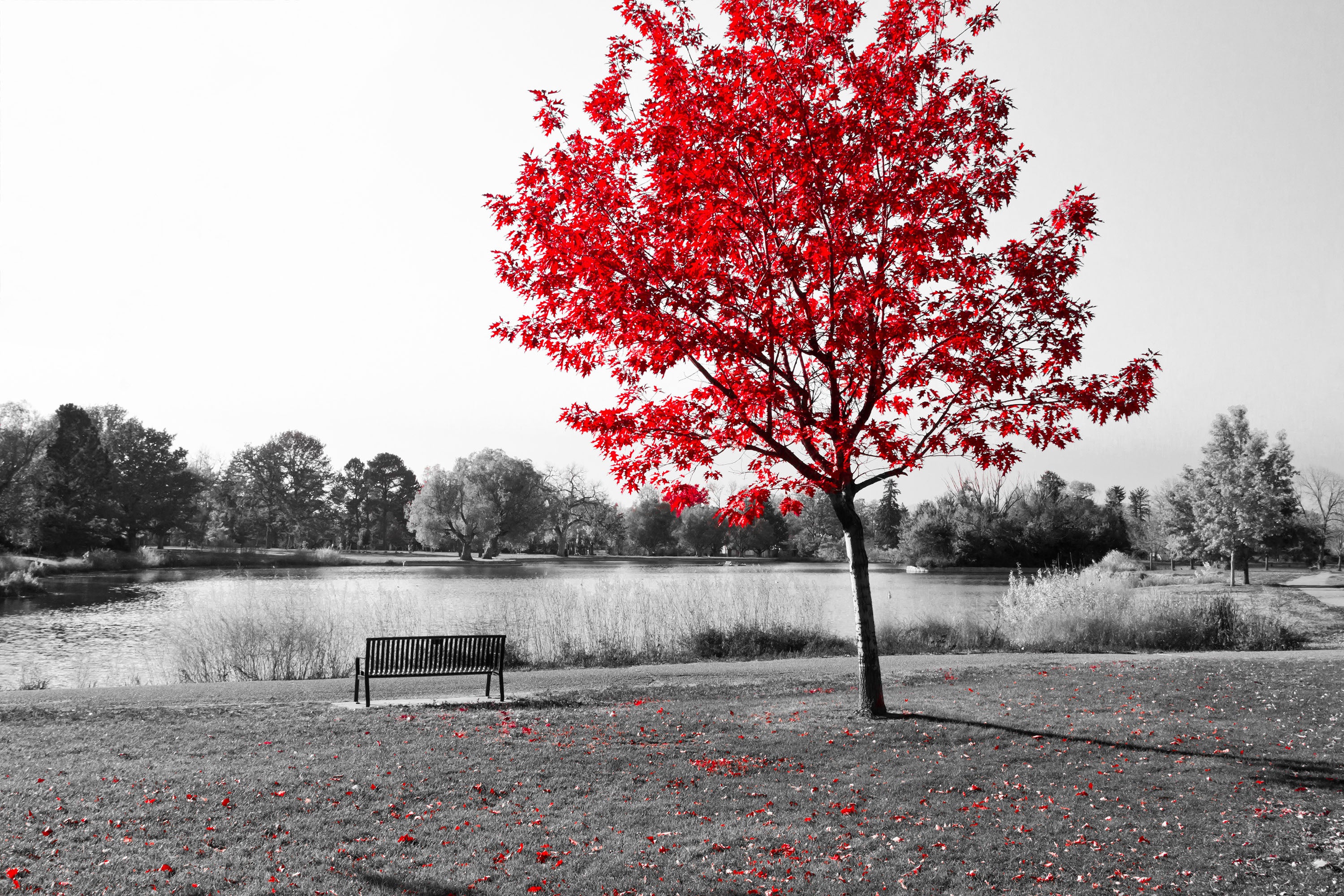 Blanco y Rojo 032 - cuadro decorativo en canvas