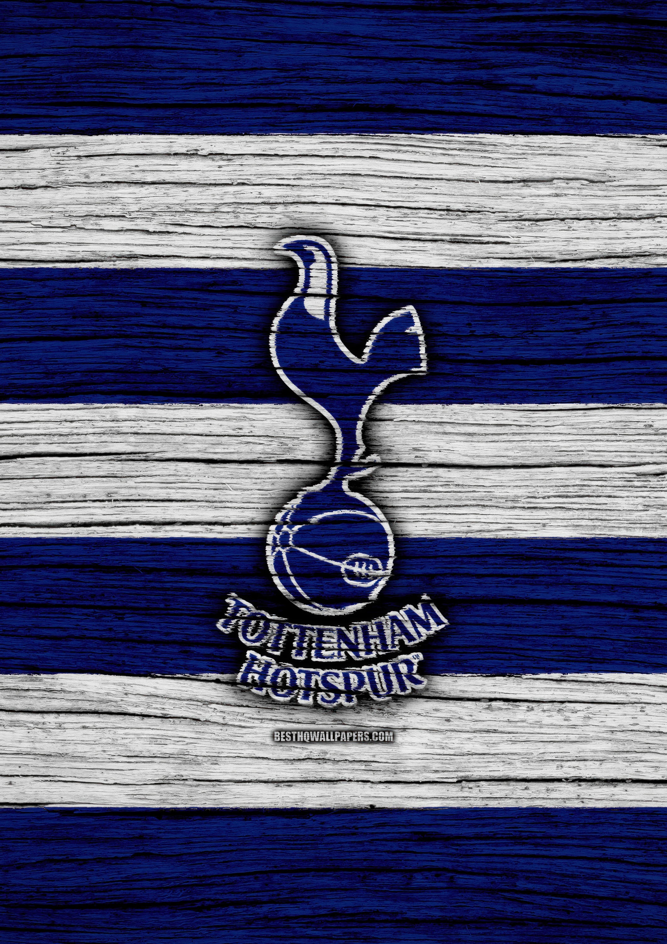 Tottenham 002 - cuadro decorativo en canvas