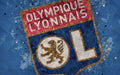 Olympique Lyonnais 008 - cuadro decorativo en canvas