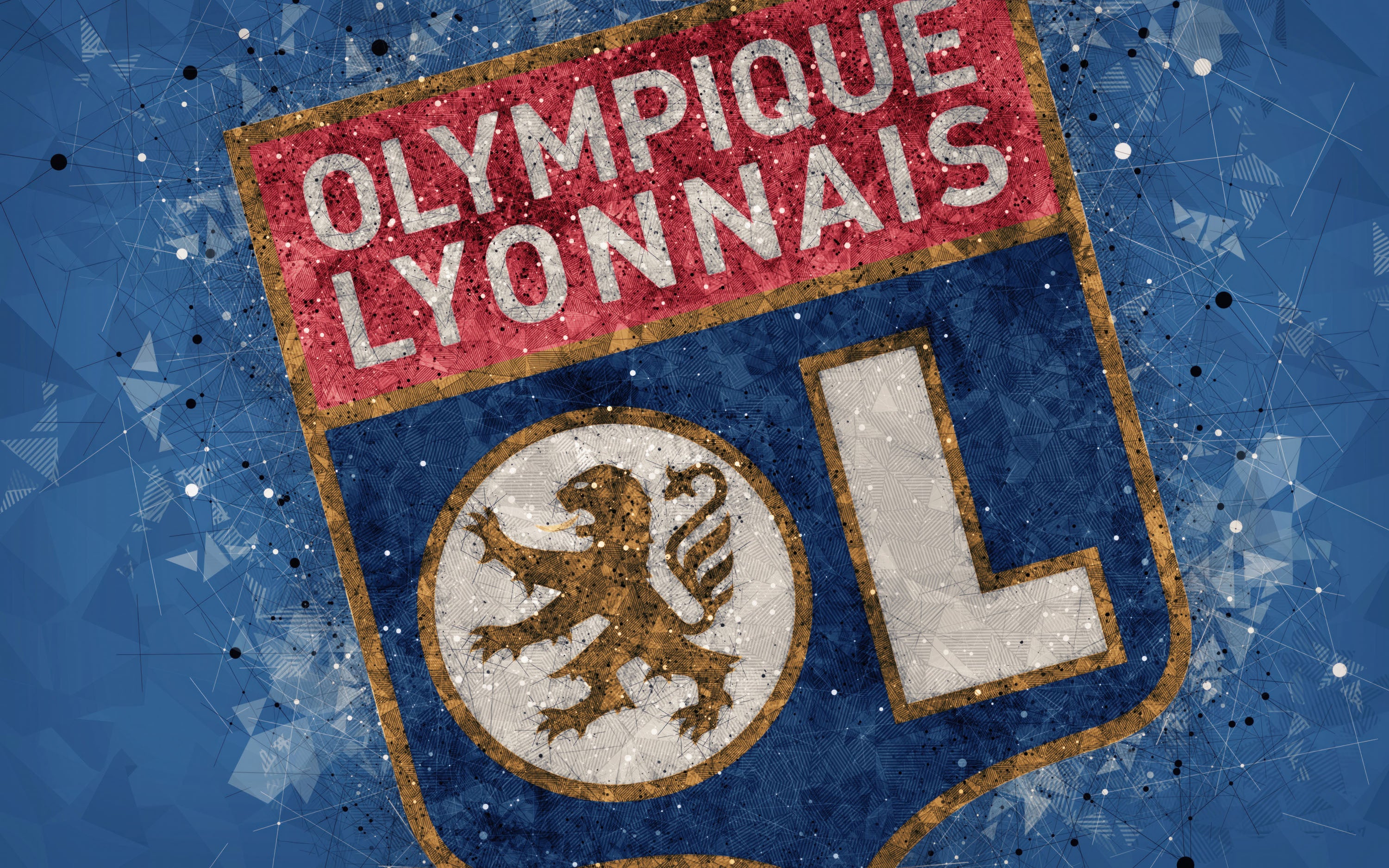 Olympique Lyonnais 008 - cuadro decorativo en canvas