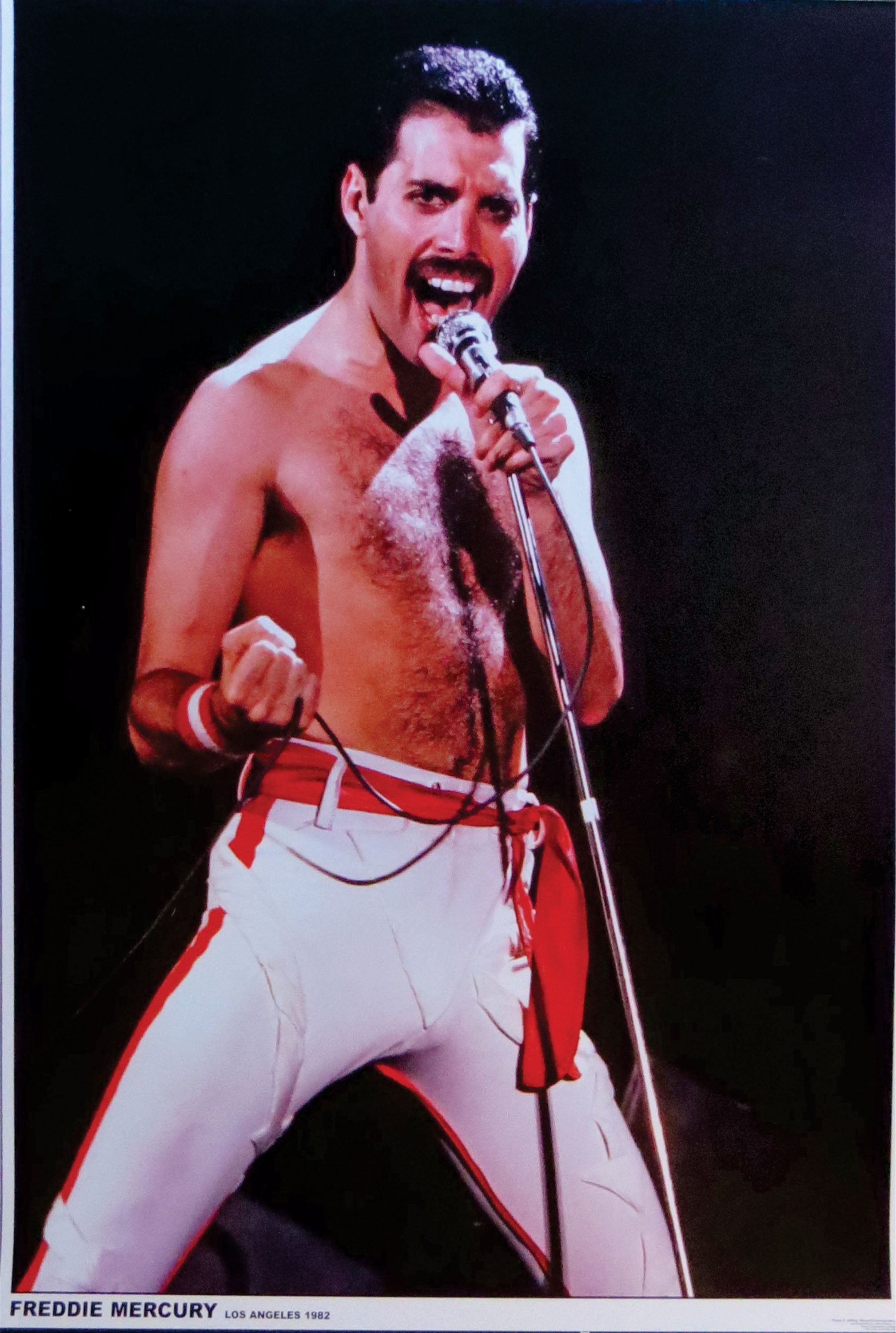 Freddie Mercury 004 - cuadro decorativo en canvas