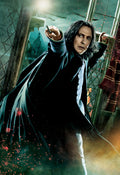 Harry Potter 040 - cuadro decorativo en canvas