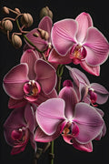 Flores 001 - Cuadro canvas Canvaradas