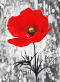 Blanco y Rojo 010 - cuadro decorativo en canvas