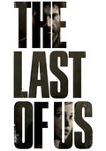 The Last Of Us 002 - cuadro gamer decorativo en canvas