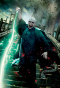 Harry Potter 041 - cuadro decorativo en canvas