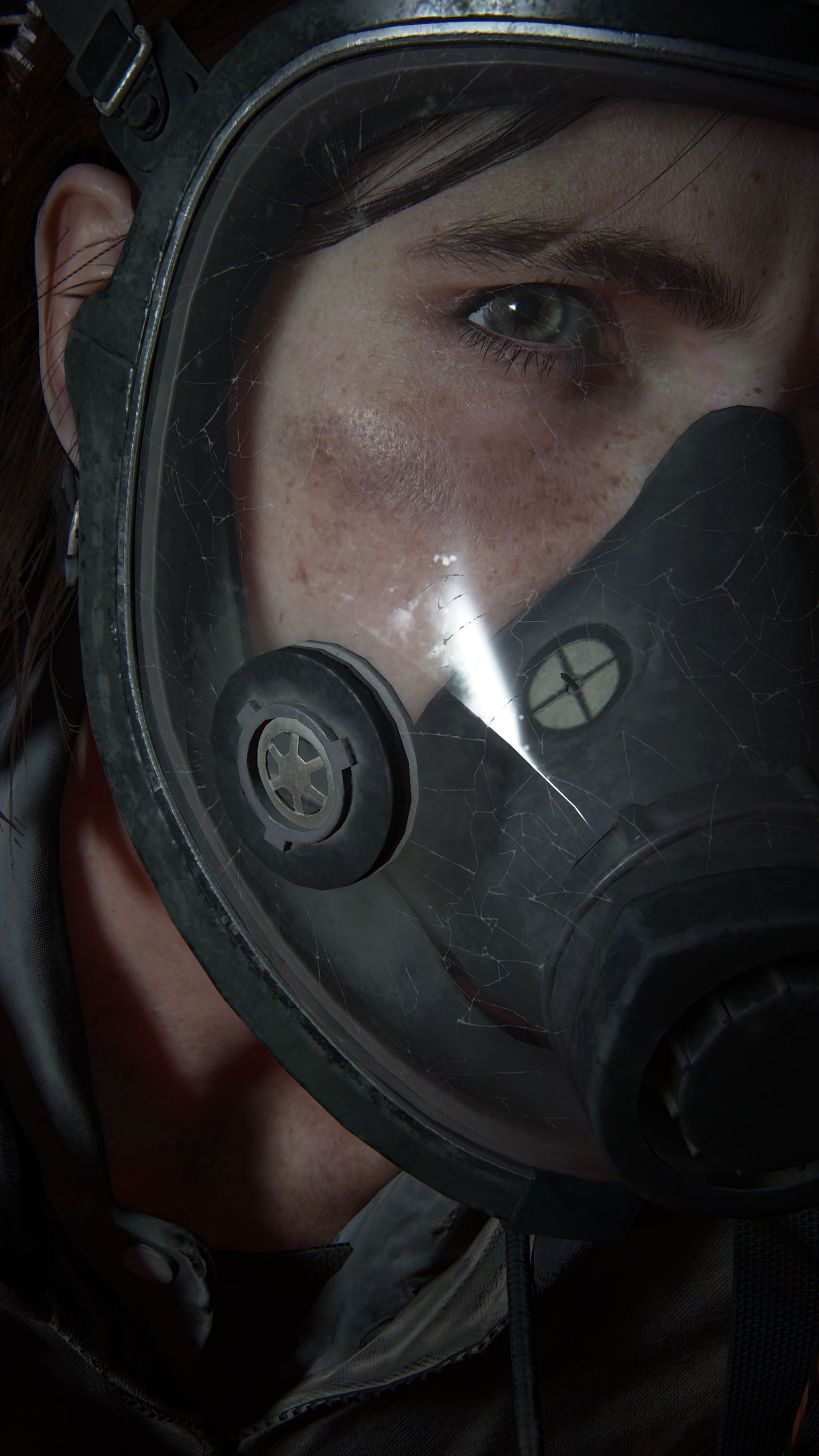 The Last Of Us 027 - cuadro gamer decorativo en canvas