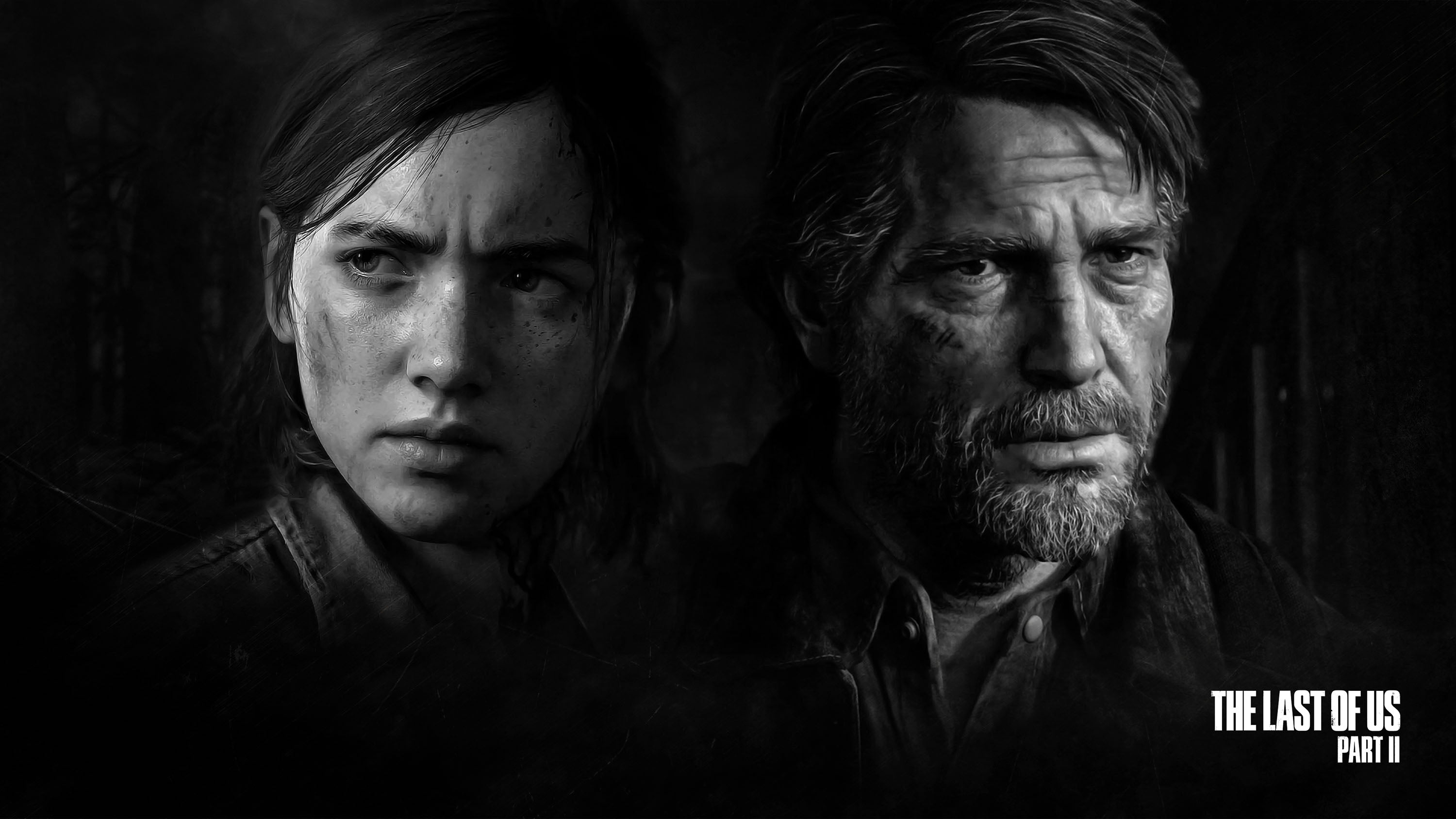 The Last Of Us 016 - cuadro gamer decorativo en canvas