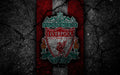 Liverpool 008 - cuadro decorativo en canvas