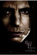 Harry Potter 023 - cuadro decorativo en canvas