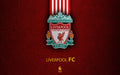 Liverpool 010 - cuadro decorativo en canvas