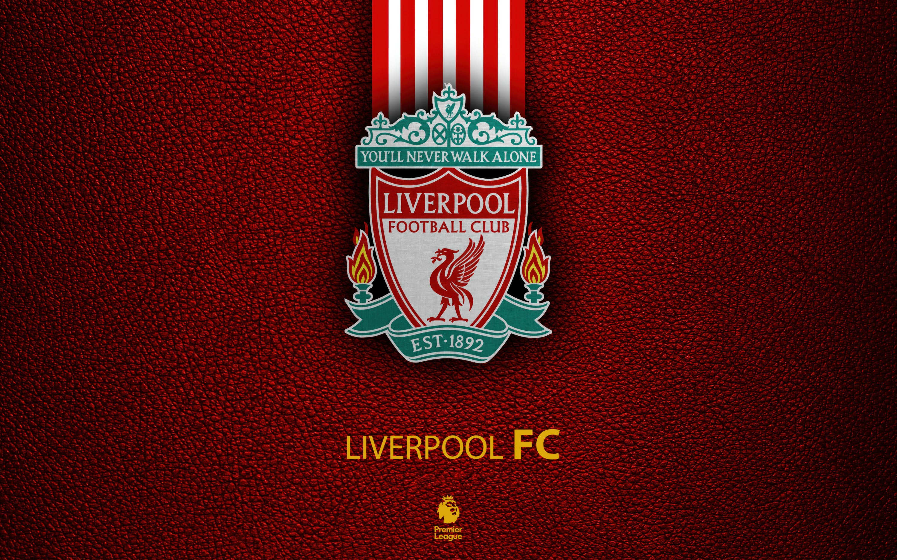 Liverpool 010 - cuadro decorativo en canvas