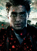Harry Potter 047 - cuadro decorativo en canvas