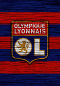 Olympique Lyonnais 003 - cuadro decorativo en canvas
