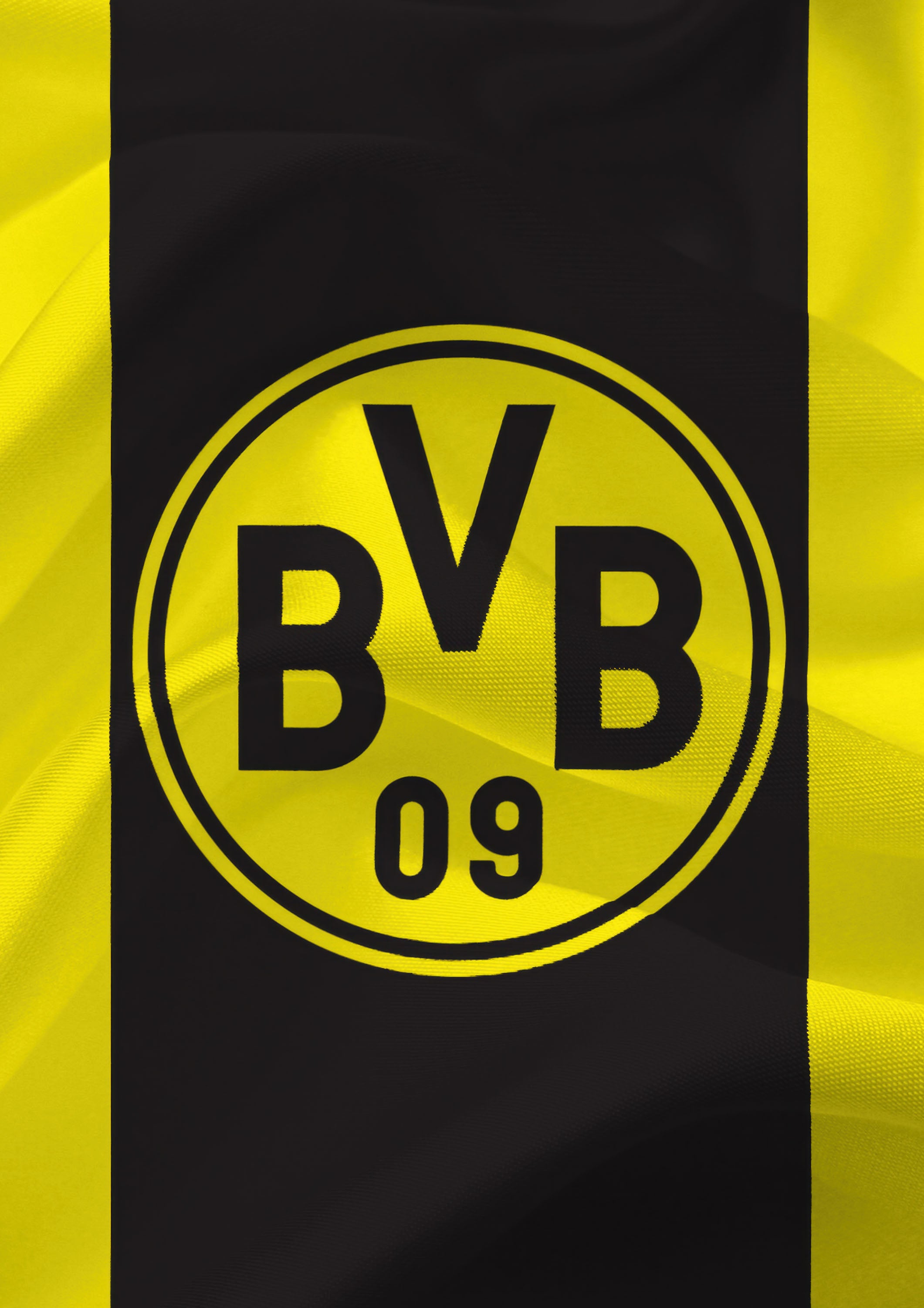 Borussia Dortmund 002 - cuadro decorativo en canvas