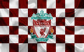 Liverpool 007 - cuadro decorativo en canvas