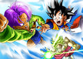 Dragon Ball 024