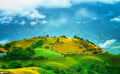 Naturaleza 118 - Cuadro canvas Canvaradas