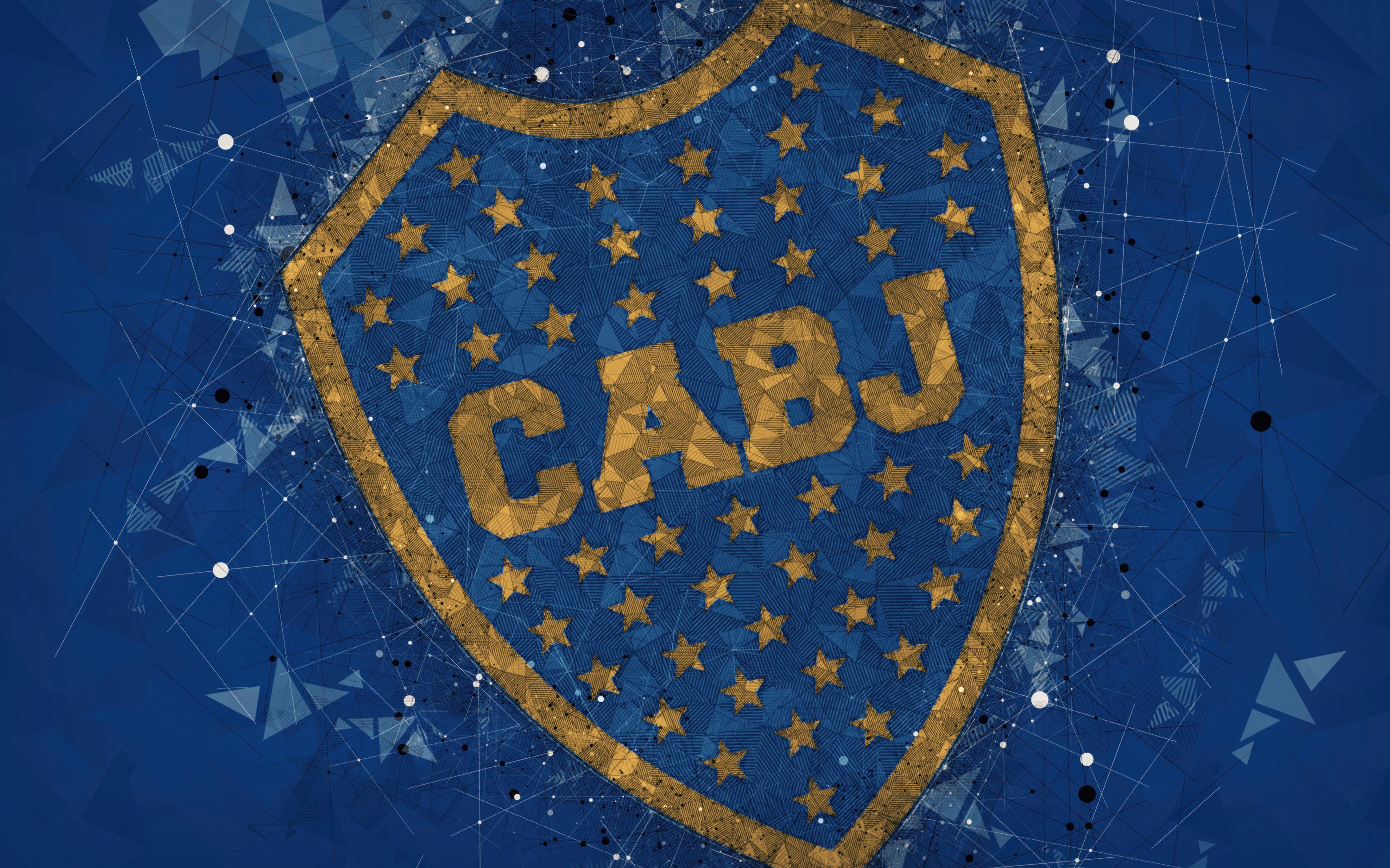 Boca Juniors 008 - cuadro decorativo en canvas