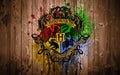 Harry Potter 015 - cuadro decorativo en canvas