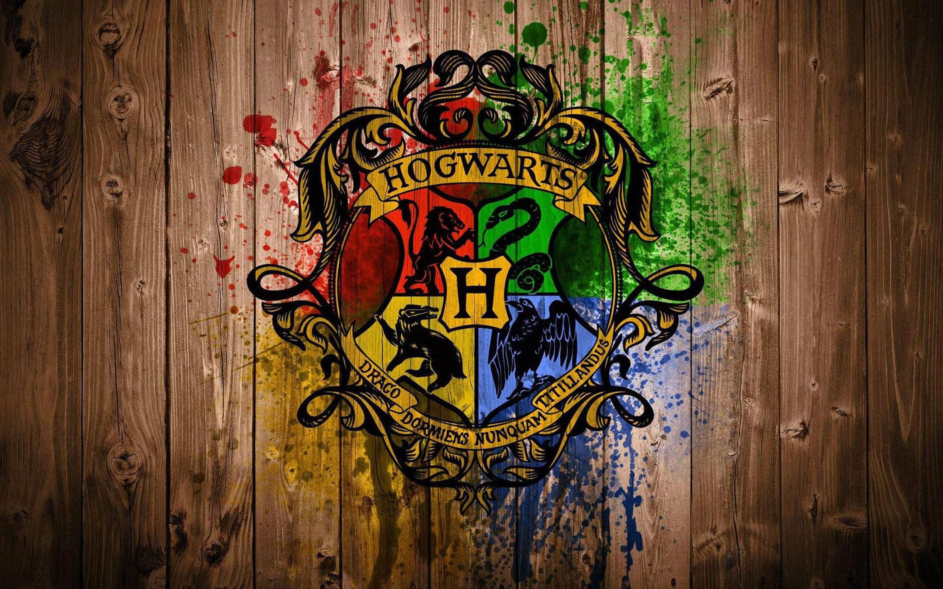 Harry Potter 015 - cuadro decorativo en canvas