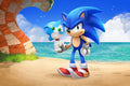 Sonic 008 - cuadro gamer decorativo en canvas