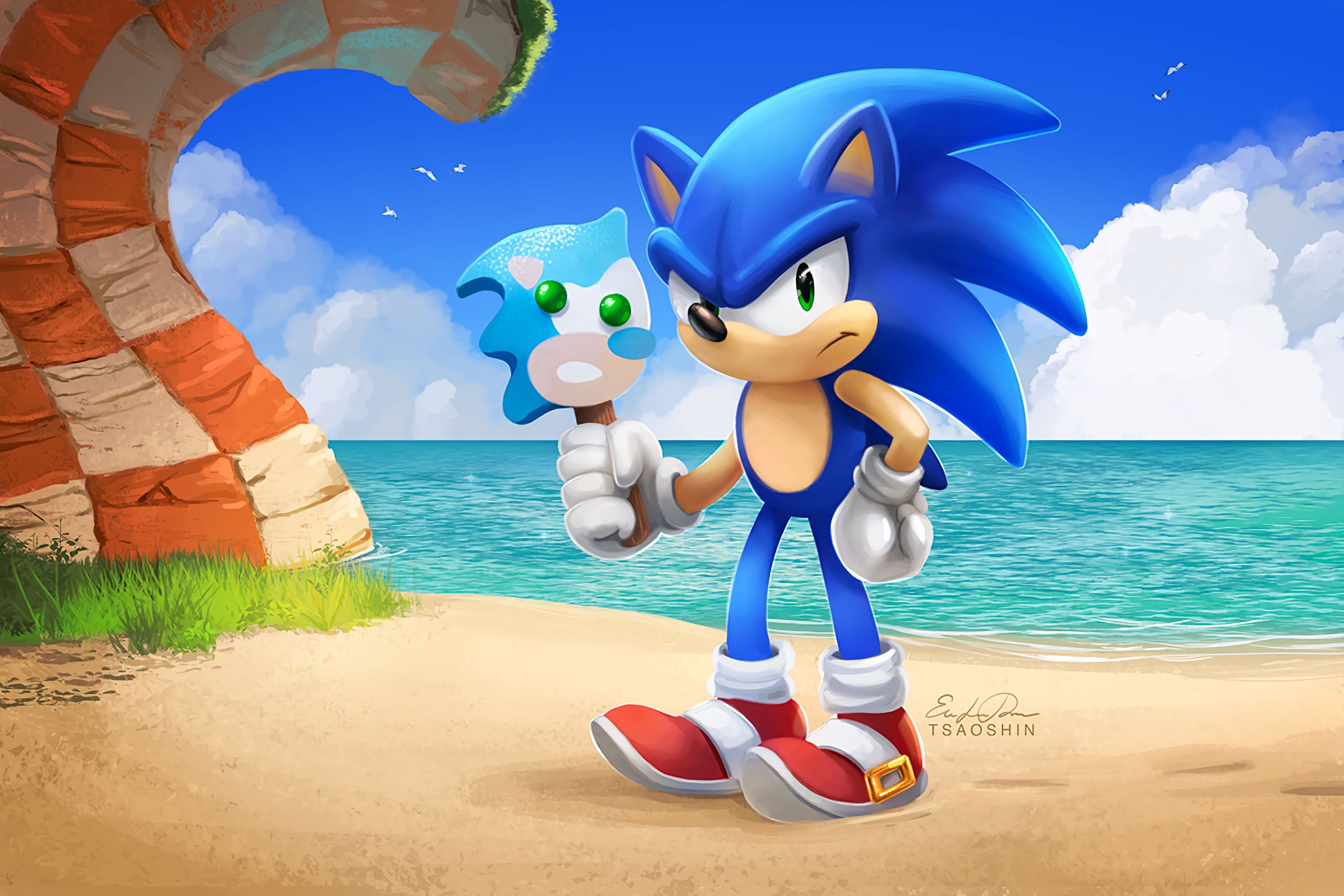 Sonic 008 - cuadro gamer decorativo en canvas