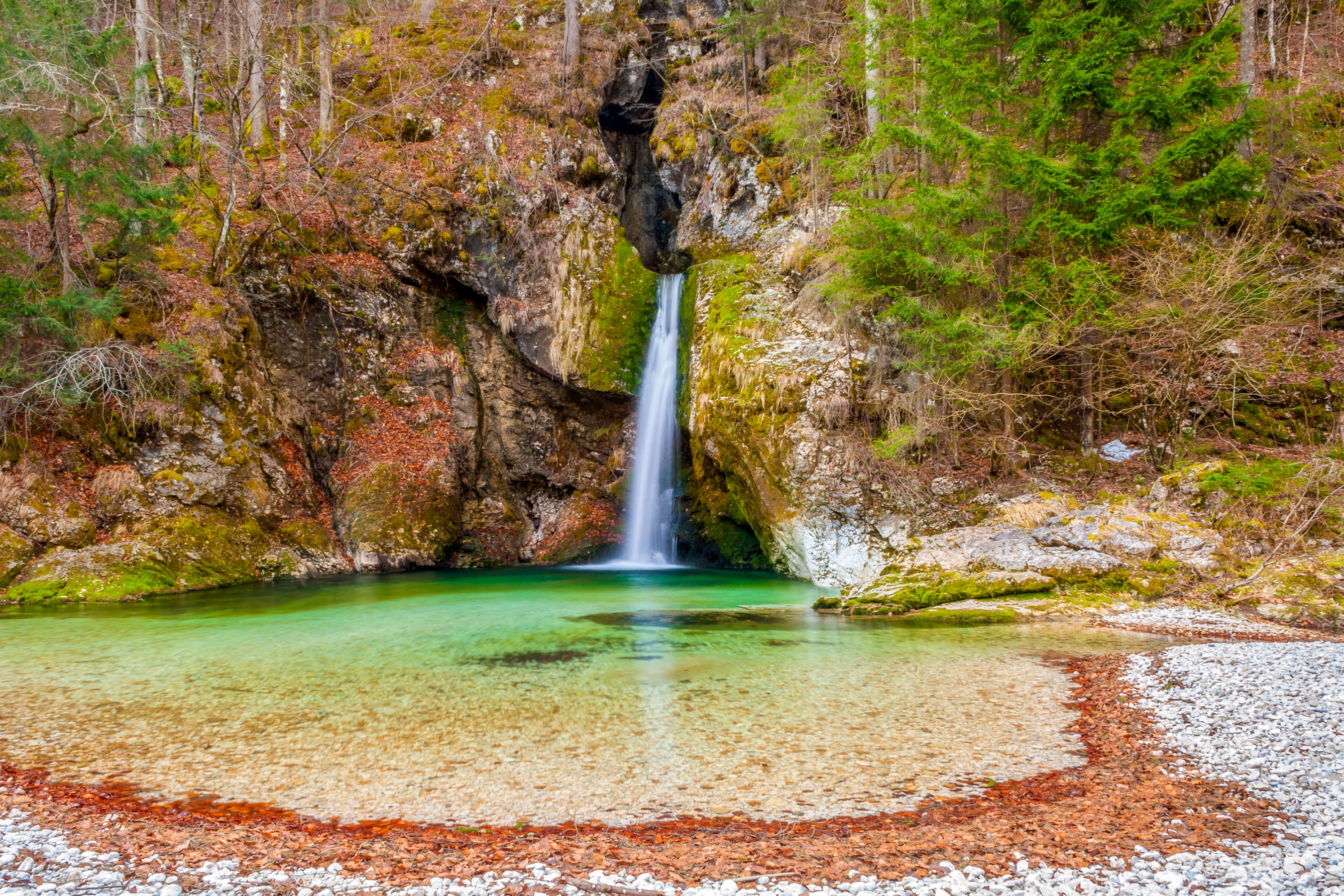 Naturaleza 112 - Cuadro canvas Canvaradas