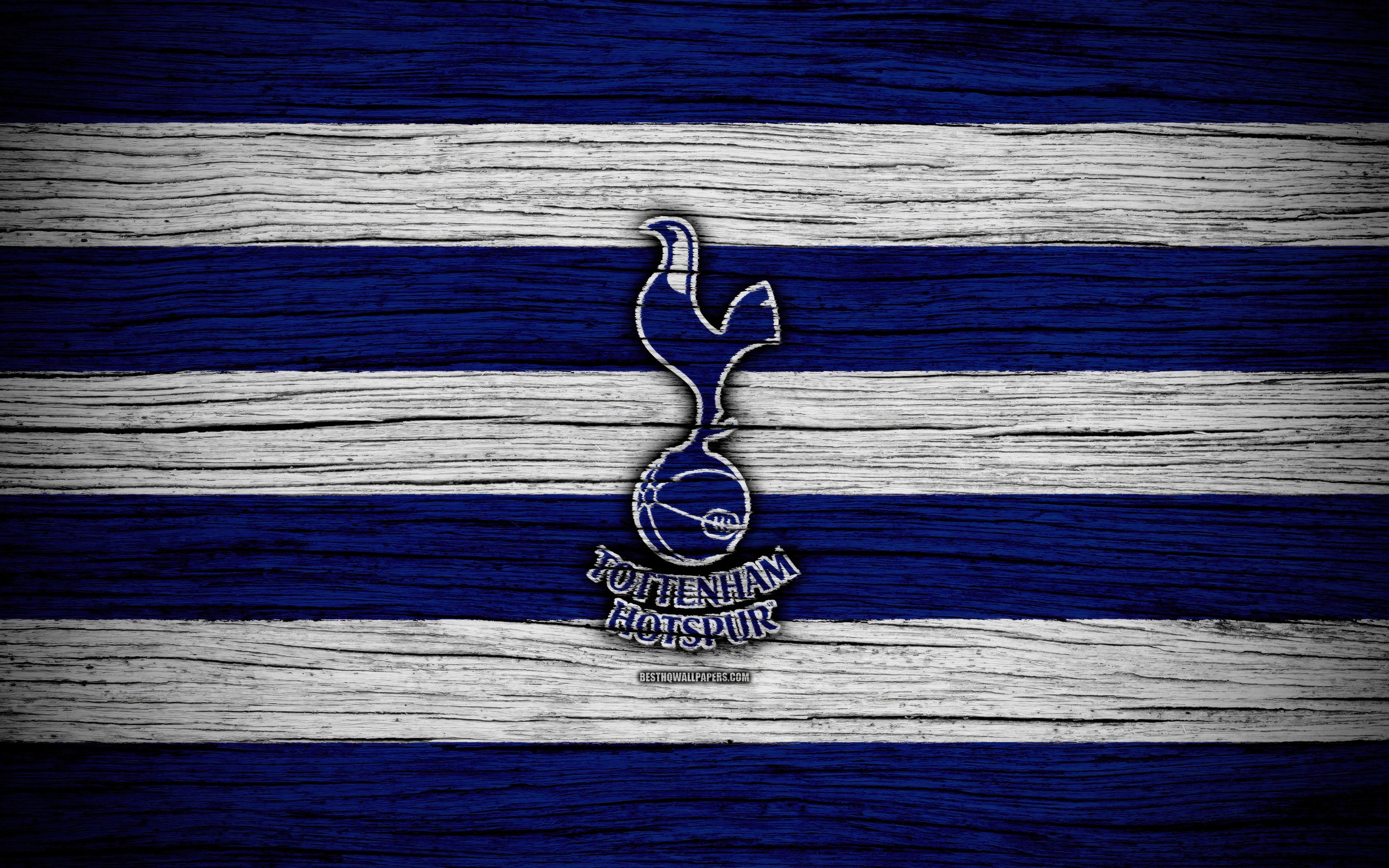 Tottenham 006 - cuadro decorativo en canvas