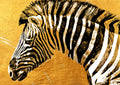 Negro y Dorado 193 - cuadro decorativo en canvas