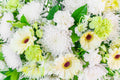 Flores 176 - Cuadro canvas Canvaradas